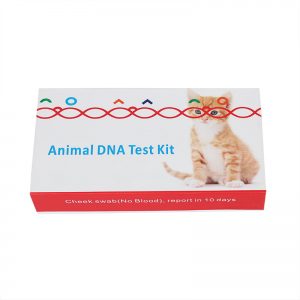 Animal  DNA Test Kit (Dog & Cat):  Oral samples collection Animal  DNA Test Kit (Dog & Cat):  Oral samples collection
