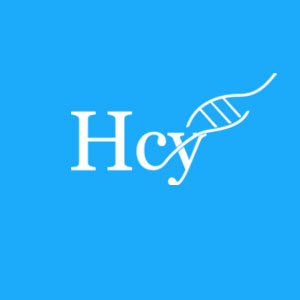 HCYTECH Nylon-Flocked Dry Swabs in Tubes