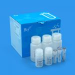 Magnetic Bead-Based Nucleic Acid PurificationMagnetic Bead-Based Nucleic Acid Purification kit, DNA/RNA Extraction