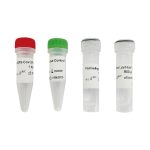 PCR Test Kit & PCR Reagents: Polymerase Chain Reaction