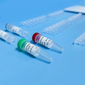 PCR Test Kit & PCR Reagents: Polymerase Chain Reaction