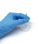 pregnancy testEasy at Home Pregnancy Test Strips