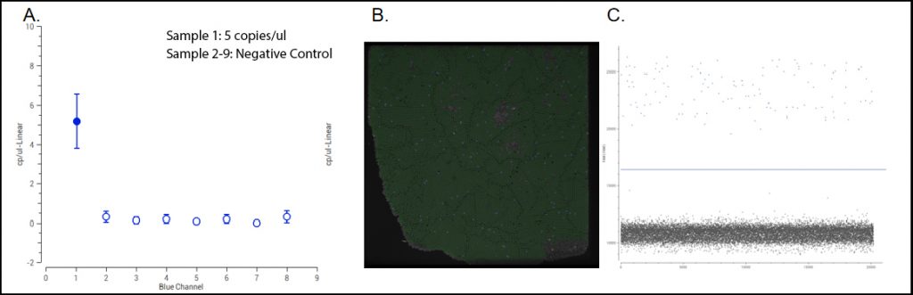 Digital PCR Results