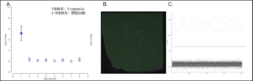 Digital PCR Results