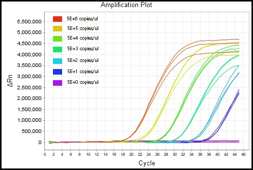 Fluorescent Quantitative PCR Results