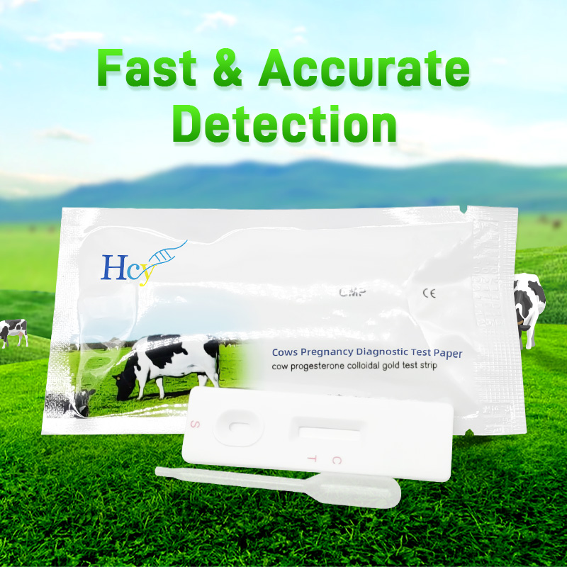 Cow Pregnancy Test Kit, Cattle Pregnancy Test - A professional 