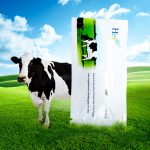 cow pregnancy testCow Pregnancy Test Kit, Cattle Pregnancy Test