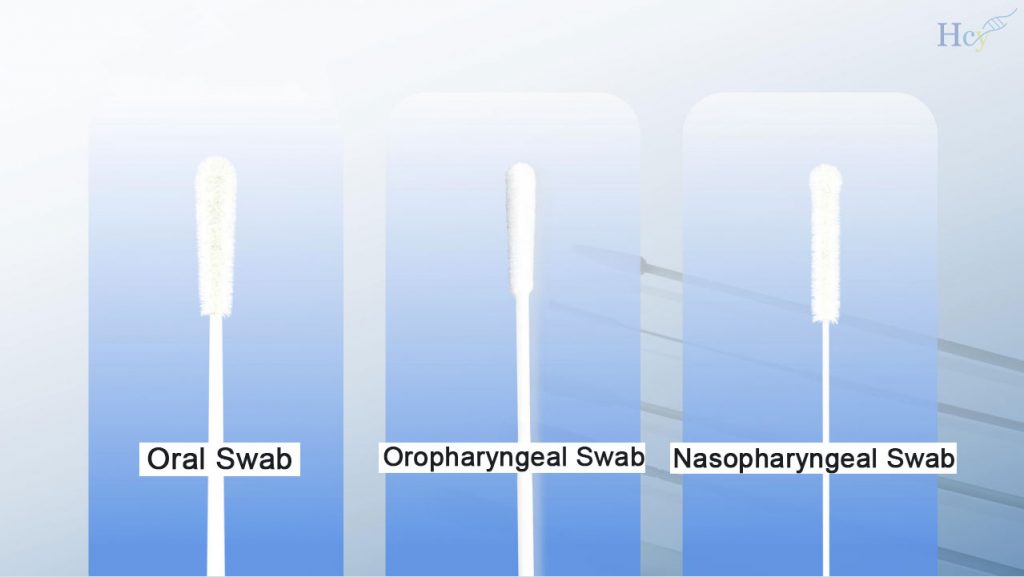 Huachenyang Disposable Sampling Swab