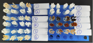 Sample Swab≠Cotton Bud, What causes some to turn yellow Sample Swab≠Cotton Bud, What causes some to turn yellow