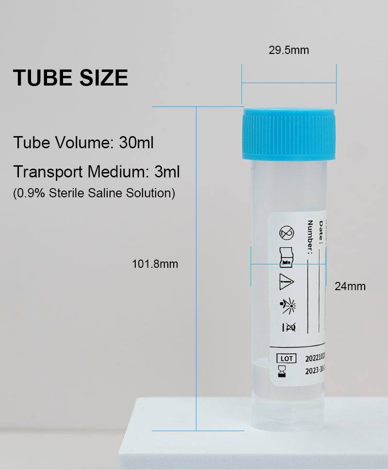 HPV test swabs