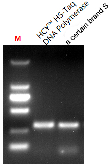 HS-Taq DNA Polymerase