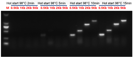 HS-Taq DNA Polymerase