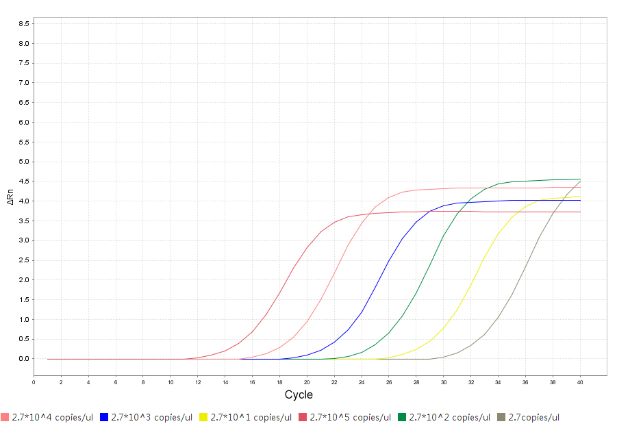 SYBR Green qPCR Master Mix