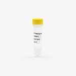 Klentaq DNA PolymeraseHCY™ Klentaq DNA Polymerase Kit