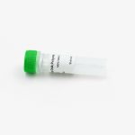 Pfu DNA PolymeraseHCY™ Pfu DNA Polymerase Kit