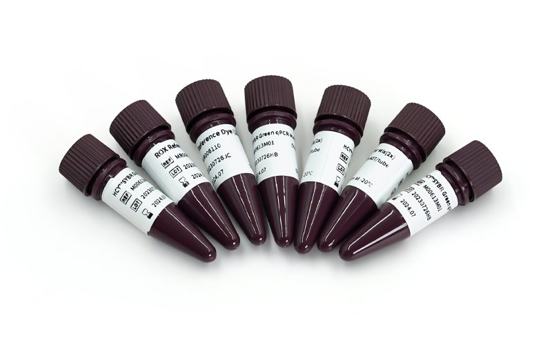 Reagen PCR lyophilized