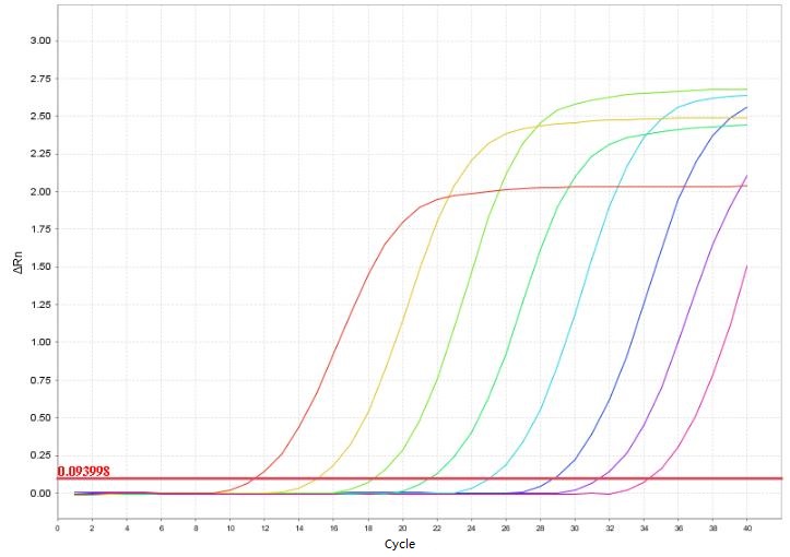 Kit Pengesanan PCR Bartonella