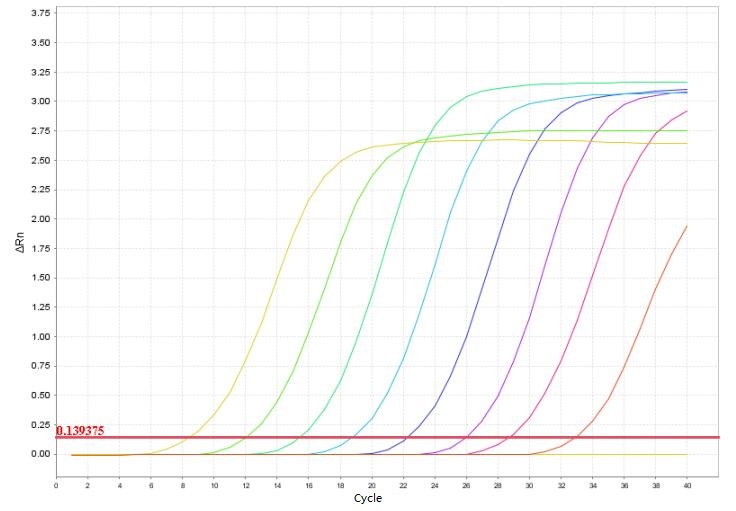 Borrelia Burgdorferi PCR Detection Kit