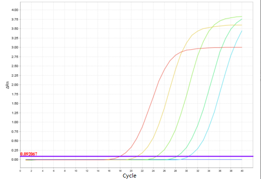 Toxoplasma gondii PCR Detection Kit