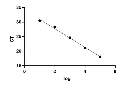 Toxoplasma gondii PCR Detection Kit