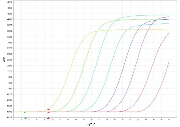 Toxoplasma Gondii Real-time PCR Detection Kit