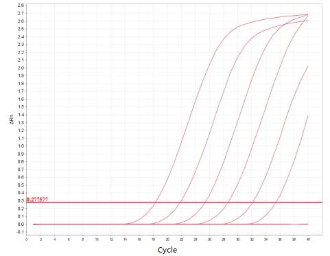 Feline calicivirus PCR Detection Kit