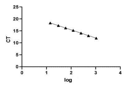 Feline calicivirus PCR Detection Kit