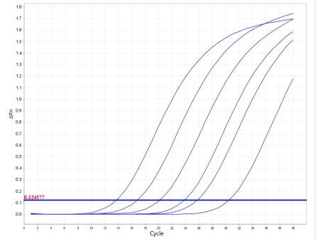 Feline Coronavirus PCR Detection Kit