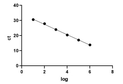 Feline Coronavirus PCR Detection Kit