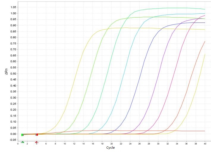 Candidatus Mycoplasma haemminutum PCR Detection Kit