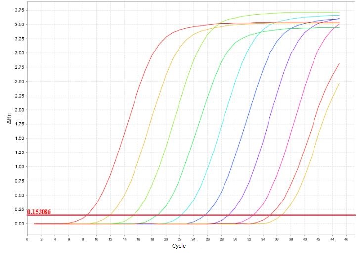 Candidatus Mycoplasma turicensis PCR Detection Kit