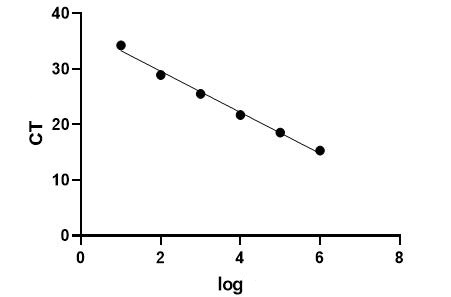 Chlamydia felis PCR Detection Kit