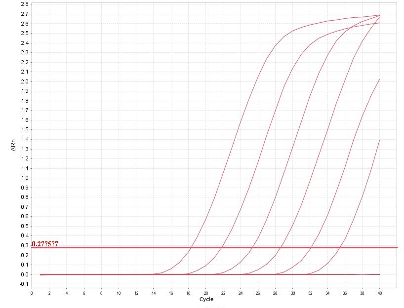  Canine coronavirus PCR Detection Kit