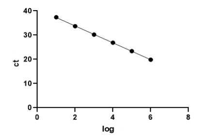 Canine coronavirus PCR Detection Kit