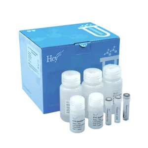 Magnetic Bead-Based Nucleic Acid Purification kit, DNA/RNA Extraction Magnetic Bead-Based Nucleic Acid Purification kit, DNA/RNA Extraction