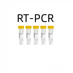 What is RT-PCR Testing? What is RT-PCR Testing?