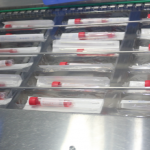 HCY™ Viral Specimen Collection Kit