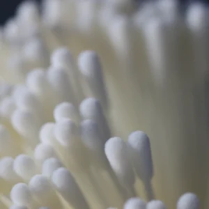 About Flocked Swabs This article explains everything About Flocked Swabs This article explains everything