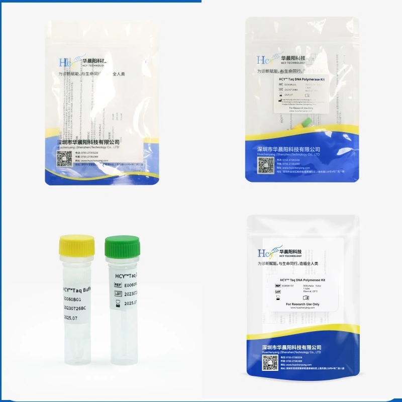 Characteristics of Huachenyang DNA Polymerase Characteristics of Huachenyang DNA Polymerase