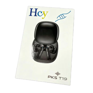 Hearing aid