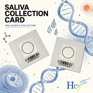 The History of Saliva Collection Cards: From Sample Collection to DNA Testing